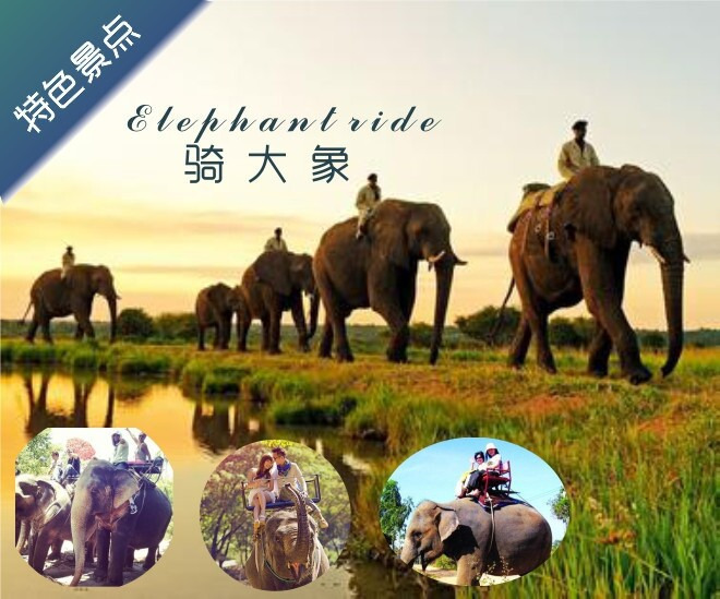 带着孩子去旅行的,小,泰国+新加坡+马来西亚1