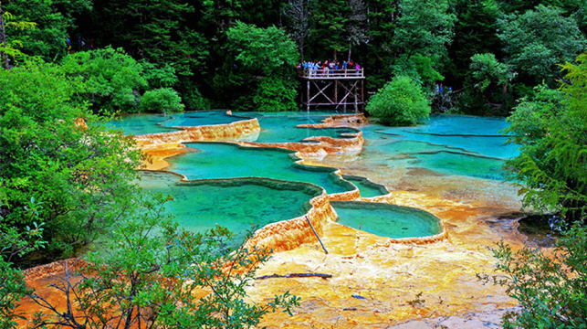 九寨沟 黄龙风景名胜区 成都4日3晚跟团游(5钻)·【五星酒店】特色菌