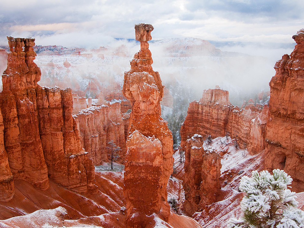 美国东西海岸 尼亚加拉瀑布 四大国家公园15日跟团游·洛杉矶主题9选1