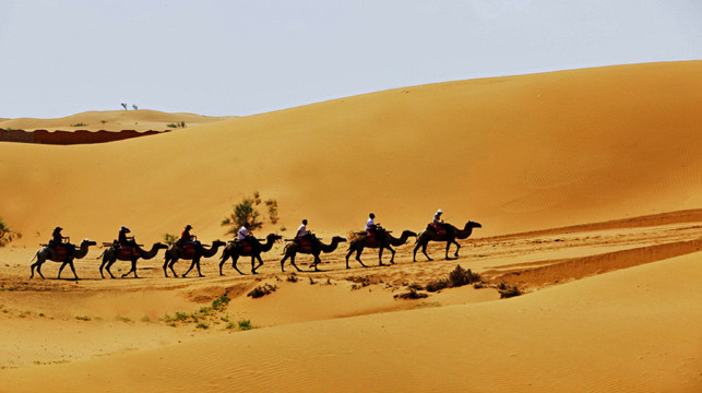 甘肃兰州 宁夏 中卫沙坡头2日1晚跟团游
