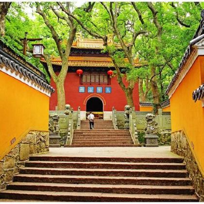 普陀山风景区+南海观音4日3晚跟团游