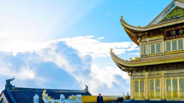 2-Day Pure tour without shopping,Climb Emei Mountain Summit,Boat tour of Leshan Giant Buddha,Stay in selected 4 - diamond hotels,s