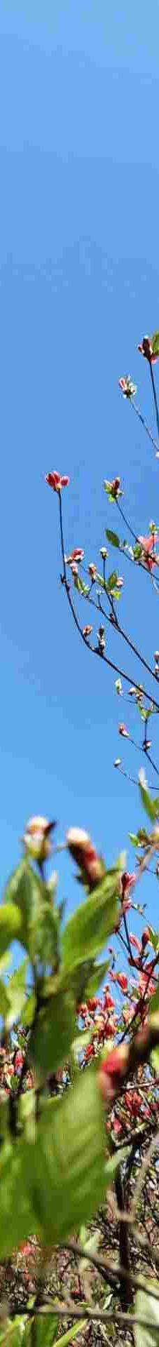 大围山国家森林公园-浏阳