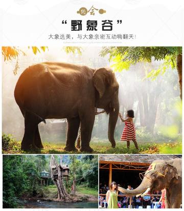 普洱 在陌生的地方寻找久违的感动,这或许就是旅行的意义.