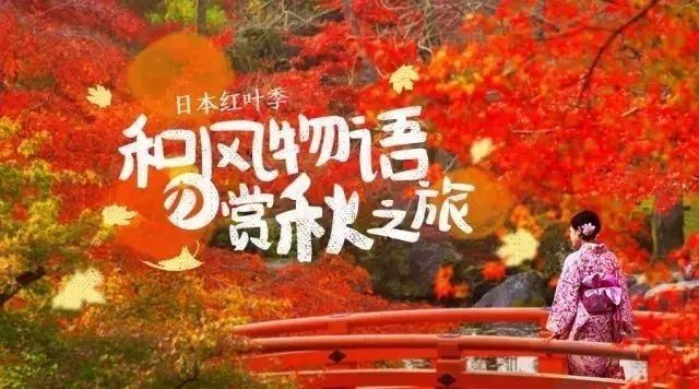 九月的枫 30040w000000kdziw823F.jpg