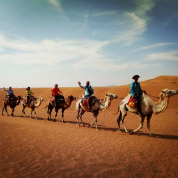 银川+中卫6日5晚拼小团