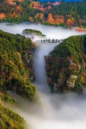 江西庐山风景区2日1晚跟团游(4钻)