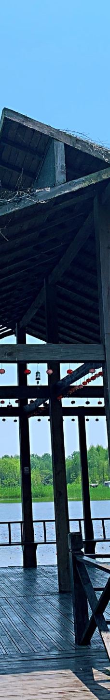 溱湖国家湿地公园-泰州