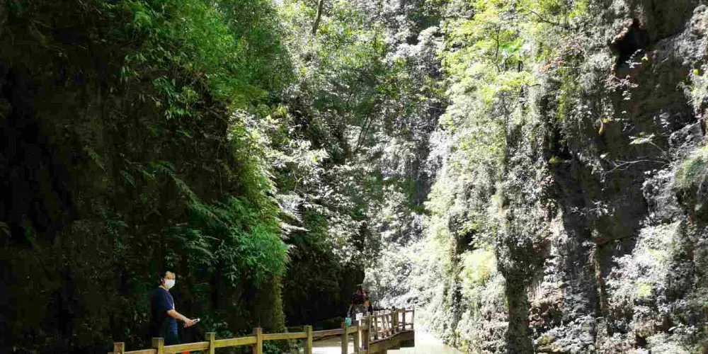 永安旅遊