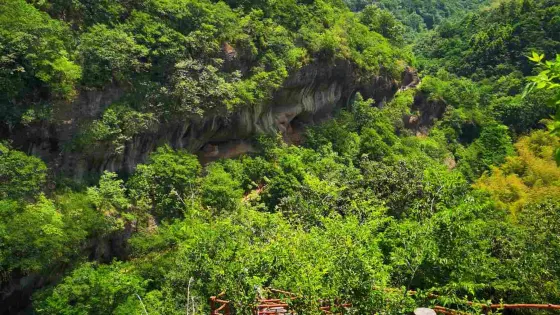 大別山風情谷