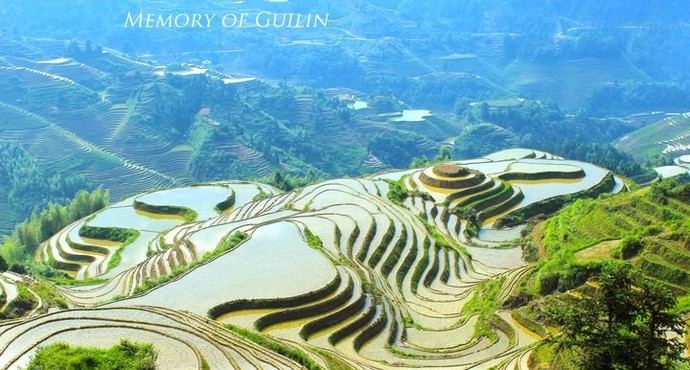 桂林+龙胜2日1晚跟团游·摄金坑大寨梯田含双