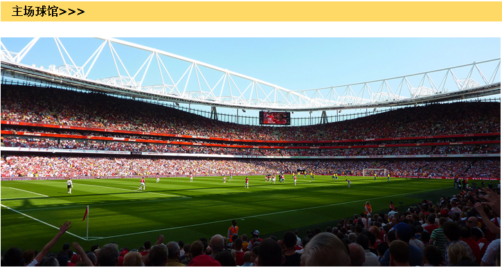 体育赛事·英国·伦敦2018\/2019赛季英超足球