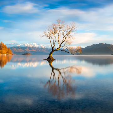 新西兰南岛+格林诺奇+蒂阿瑙萤火虫洞+峡湾国家公园9日7晚私家团