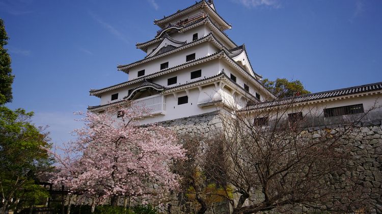 日本福冈 佐贺6日自由行 春秋直飞 佐贺往返4晚福冈 1晚佐贺 福冈甘王粉红草莓季gallery有田精美陶瓷杯佐贺季乐a5牛舞鹤城唐津巡礼 日本福冈 佐贺6日自由行 春秋直飞 佐贺往返4晚福冈 1晚佐贺 福冈甘王粉红草莓季gallery有田精美陶瓷杯佐贺季乐a5牛舞鹤城唐津巡礼
