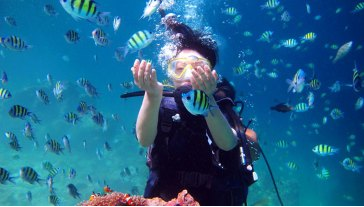 泰国普吉岛+皮皮岛+素攀府+帝王岛6日4晚跟团