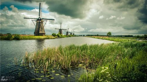 赏花游·荷兰+德国+法国+瑞士+比利时10日跟