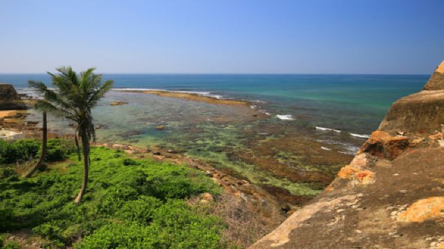 斯里兰卡科伦坡 康提 锡吉里耶 帮托塔6日跟团游(4钻)·【贺新春