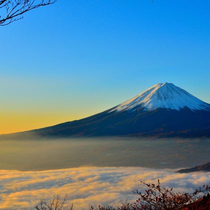 日本东京+富士山6日自由行