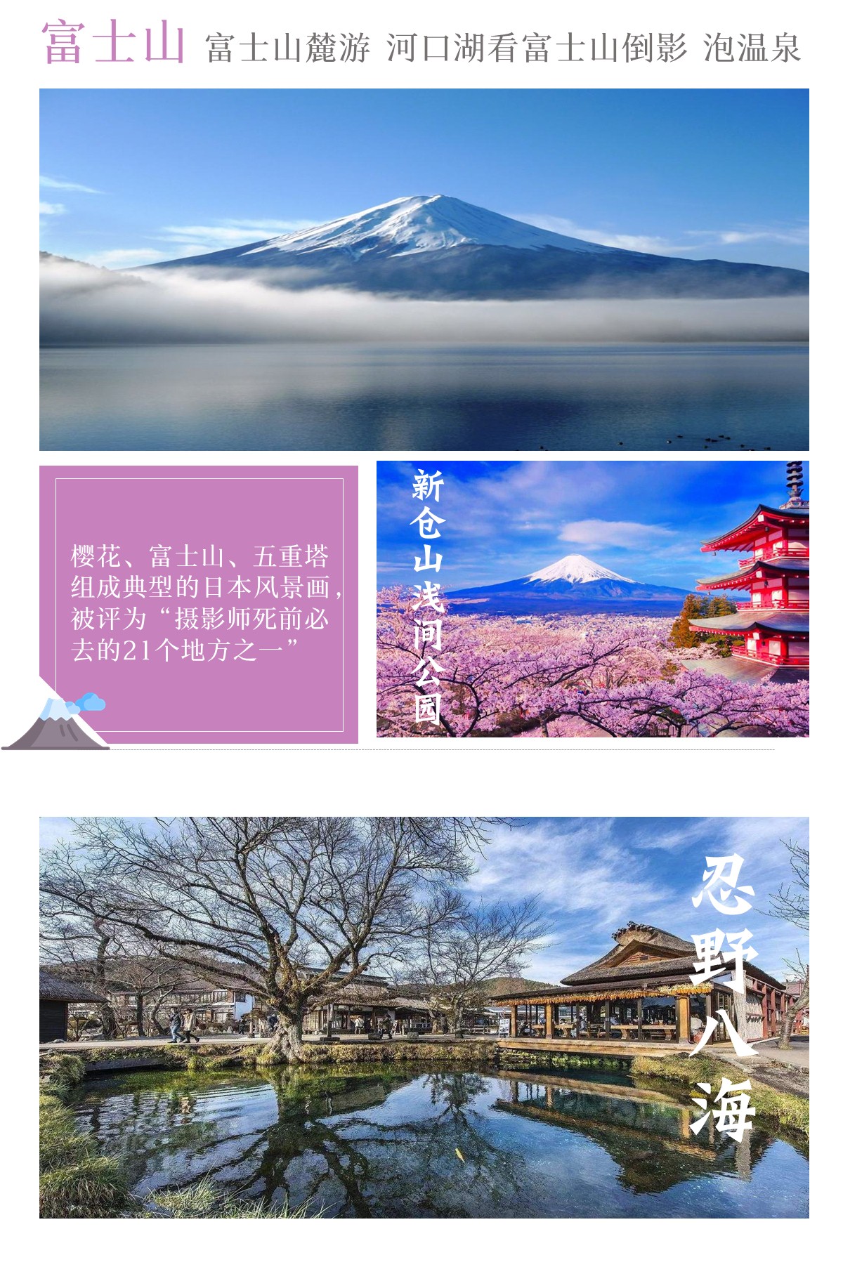 100 品質 世界文化遺産 富士山 美と大自然 ｄｖｄ Fmm Tn