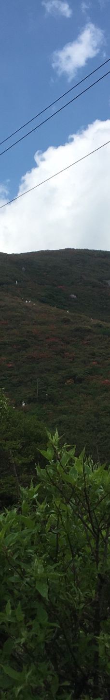 大围山国家森林公园-浏阳