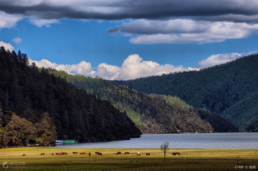 丽江很美,感觉束河古,云南昆明+大理+丽江+香