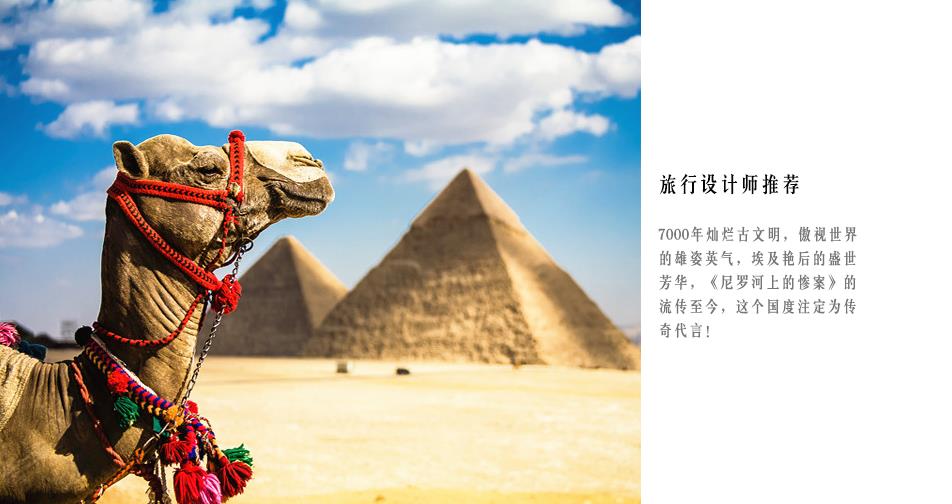 开罗之星人口_开罗之星 那些年开罗军打小怪兽的日子(2)