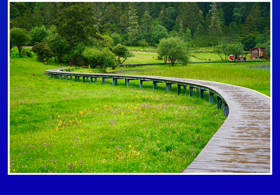 云南丽江+大理+香格里拉+普达措国家公园+虎