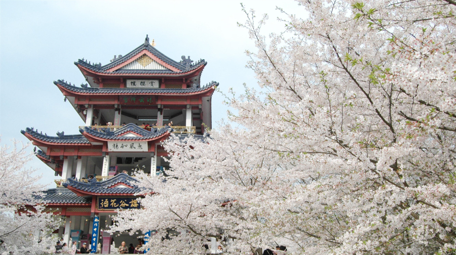 常熟石板街攻略,常熟石板街门票/游玩攻略/地址/图片/门票价格【携程