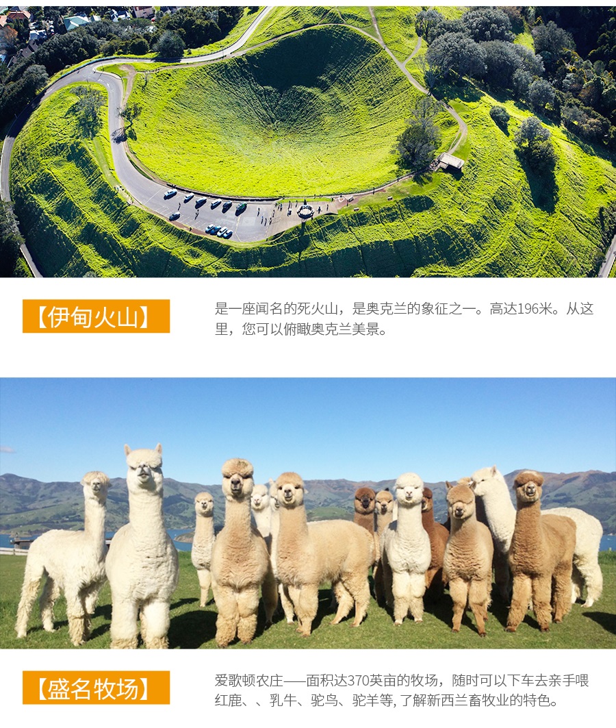 澳大利亚悉尼+凯恩斯+黄金海岸+墨尔本+新西