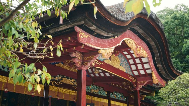 日本鹿儿岛 宫崎 大分 熊本 福冈7日自由行 探秘九州 环游九州自然秘境之旅 鹿儿岛进福冈返 1晚鹿儿岛 1晚宫崎 1晚别府or由布院 1晚熊本 2晚福冈 一次打卡热门景点泡九州温泉知冷暖鹿儿岛采风感受真实自然美景 日本鹿儿岛 宫崎 大分 熊本 福冈7日自由行 探秘九州 环游九州自然秘境之旅 鹿儿岛进福冈返 1晚鹿儿岛 1晚宫崎 1晚别府or由布院 1晚熊本 2晚福冈 一次打卡热门景点泡九州温泉知冷暖鹿儿岛采风感受真实自然美景