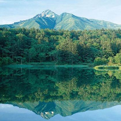 成都+都江堰中华大熊猫苑（原熊猫乐园）+九寨沟+黄龙风景名胜区+峨眉山+乐山6日5晚跟团游