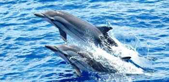 澳大利亚悉尼2日1晚跟团游(3钻)·悉尼周边景