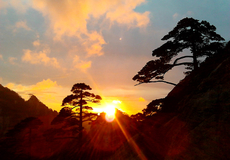 黄山风景区+屯溪老街3日2晚自由行