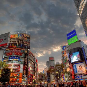 日本东京+伊豆7日6晚私家团