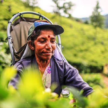 斯里兰卡科伦坡+康提6日5晚私家团