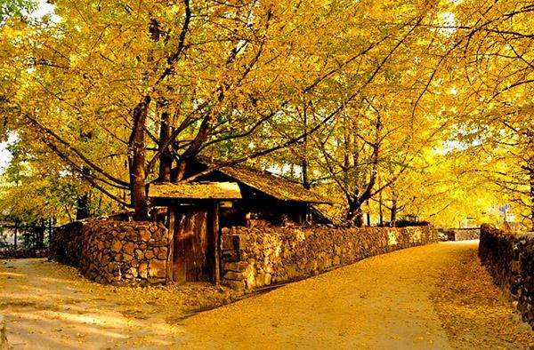 一个大坑,就是携程给,云南腾冲2日1晚私家团·