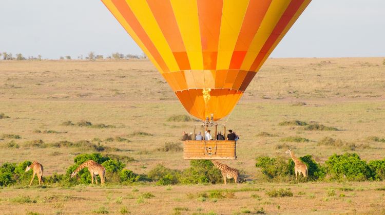 坦桑尼亚+塞伦盖蒂国家公园+恩戈罗恩戈罗火山口6日5晚·狂野非洲 每日发团  英文散拼团+1人起订（塞伦盖蒂国家公园+恩戈罗火山+英文司导+乞力马扎罗机场接送）+可选增加桑给巴尔岛行程