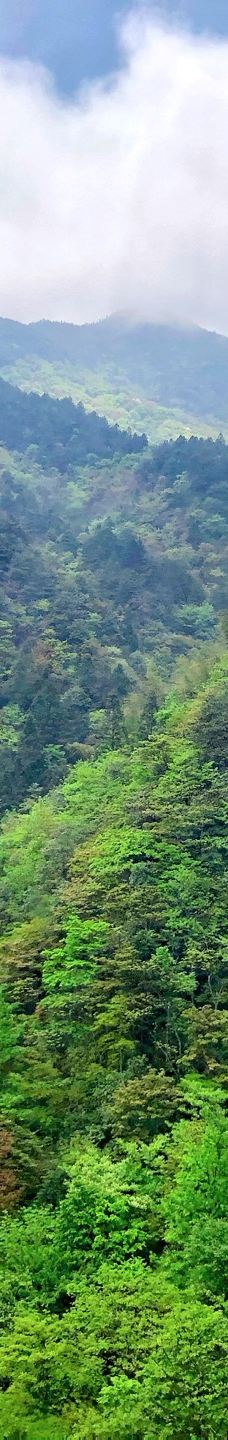 宜春明月山旅游区-宜春