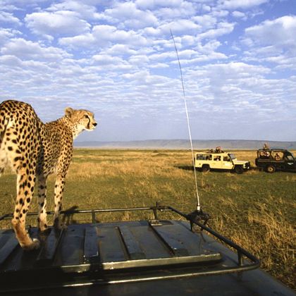 肯尼亚马赛马拉国家保护区+奈瓦沙+长颈鹿中心7日6晚私家团