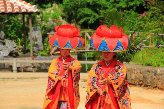 头戴红色的扶桑花