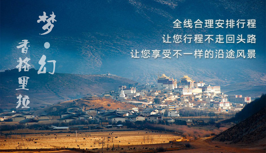 大理人口发展史_大理人口分布图(2)