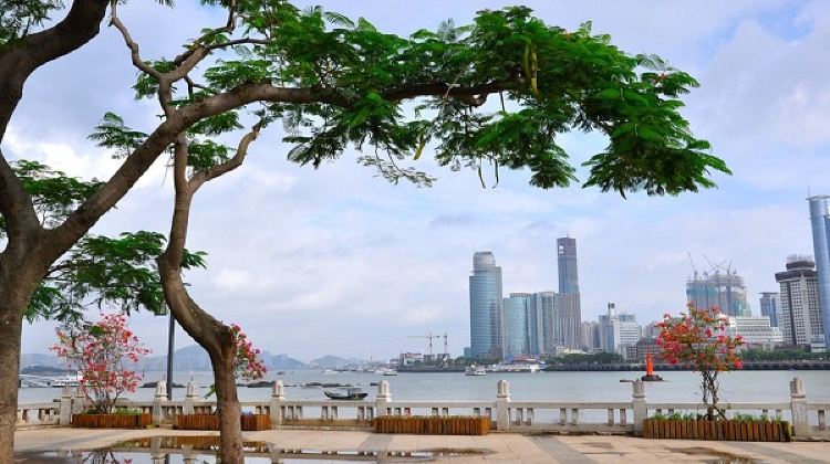 6-Day Wuyishan + Xiamen + Kulangsu + Zhangzhou+Nanjing Tulou Cluster