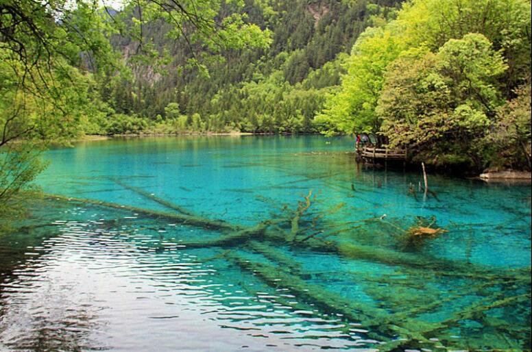 四川+成都+九寨沟+黄龙风景名胜区+重庆+长江