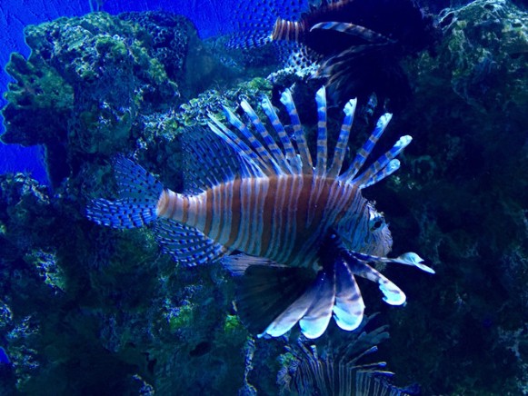 大连+老虎滩海洋公园2日1晚半自助游·超级游