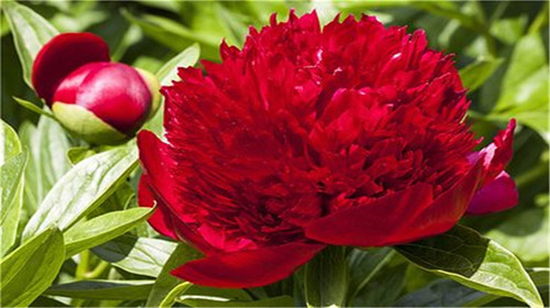 秦皇岛+北戴河+南戴河+山海关+蟹贝湾5日4晚