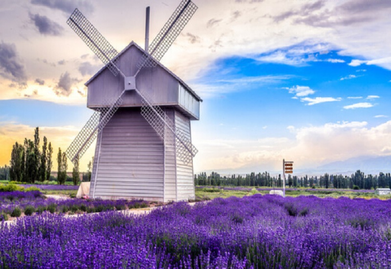 法国+卢森堡+德国+意大利+荷兰+比利时12日1