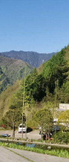 卧龙中华大熊猫苑神树坪基地-汶川