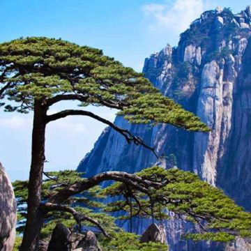 黄山风景区+宏村景区+西递4日3晚跟团游