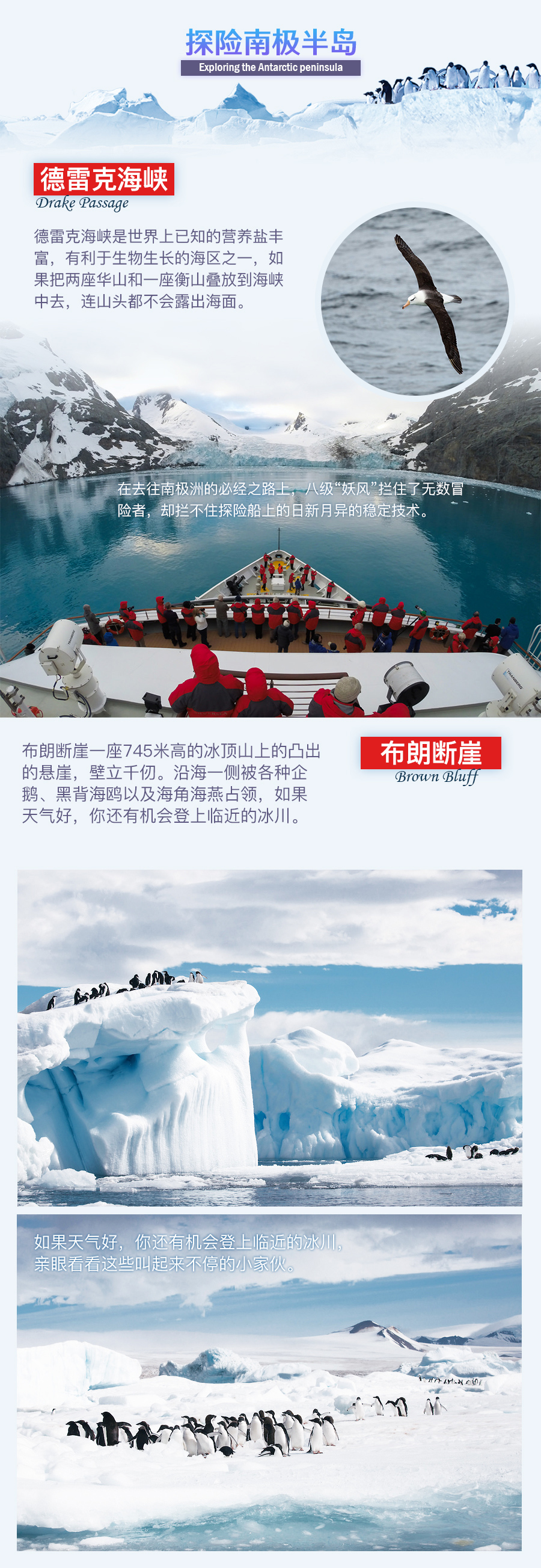 南极五日奇幻之旅：探秘冰川世界的终极体验-黔程游网