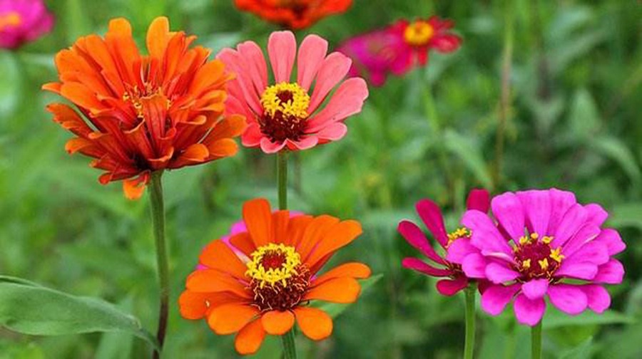 博罗怡情谷温泉酒店 + 惠州怡情谷温泉度假村